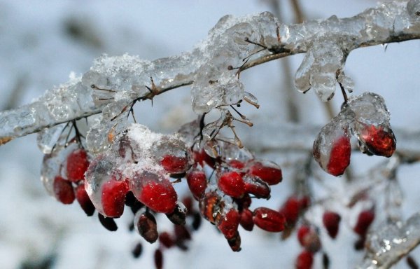 Снег гололед