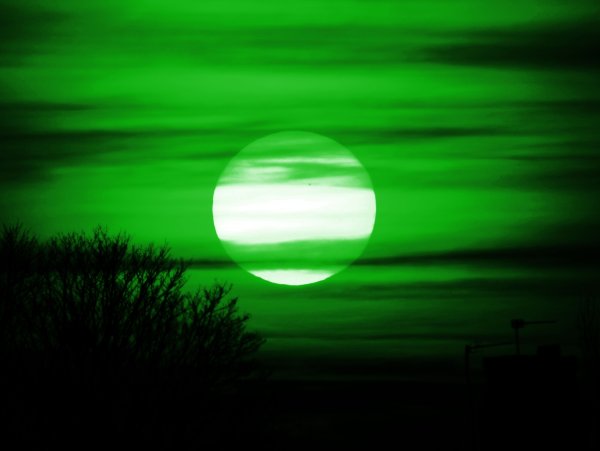 Зеленая ночь