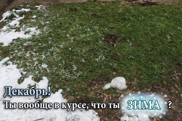 С первым днем зимы без снега