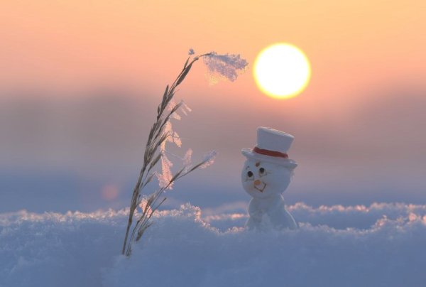 Приложите к душе весну