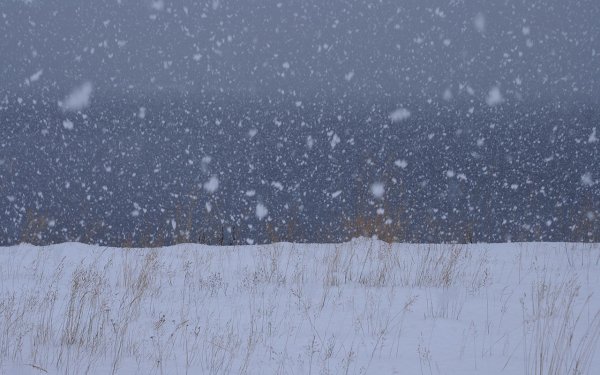 Хлопья снега
