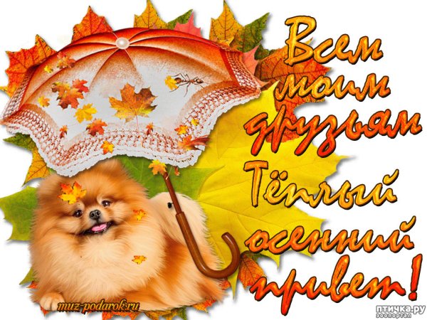 Осенний приветик