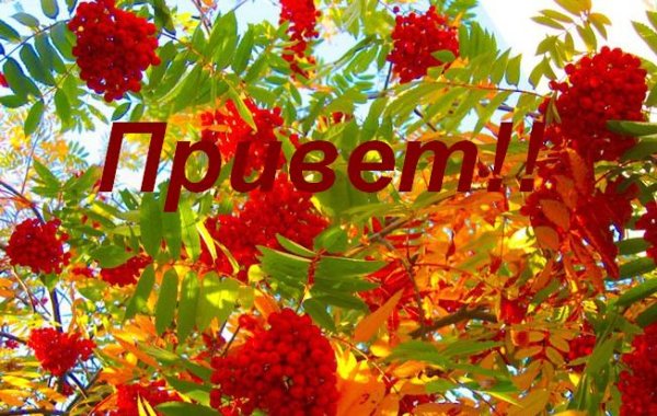 Открытка с осенним приветом с природой