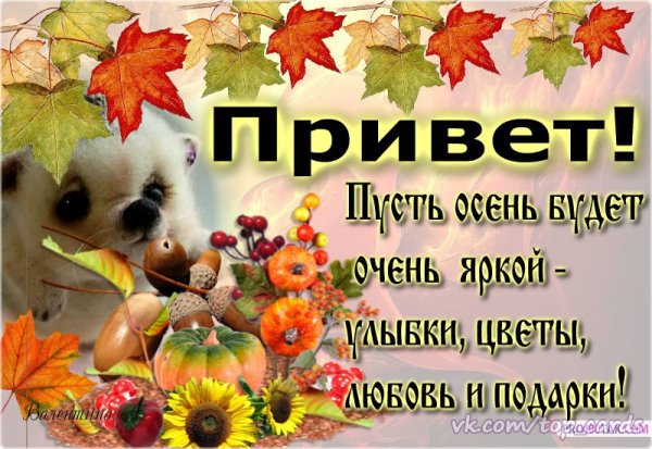 Осенний сентябрьский привет