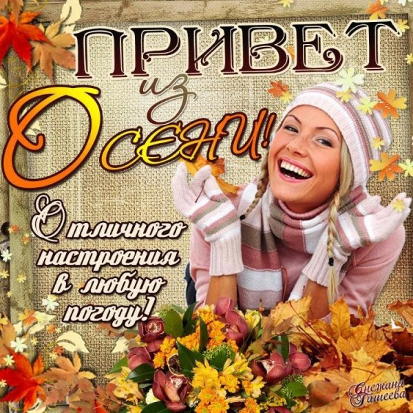 Открытки осенний привет