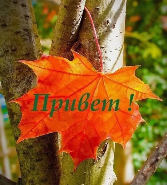 Осенний привет