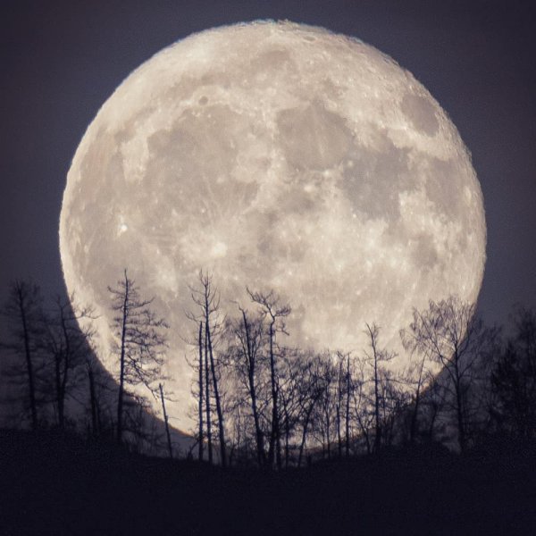 Полнолуние голубая Луна
