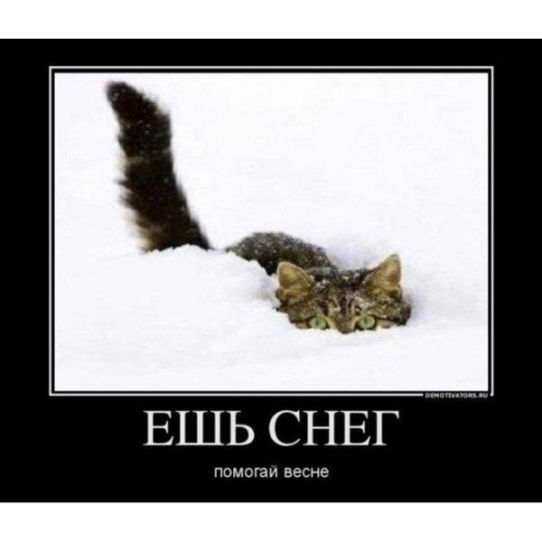 Помогите весне ешьте снег