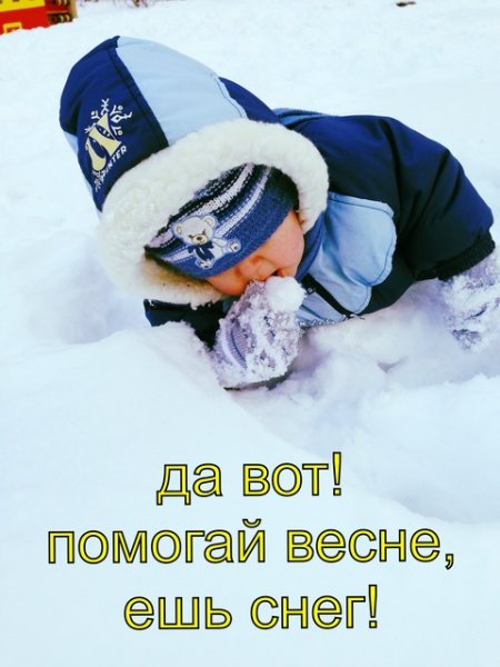Помоги весне ешь снег