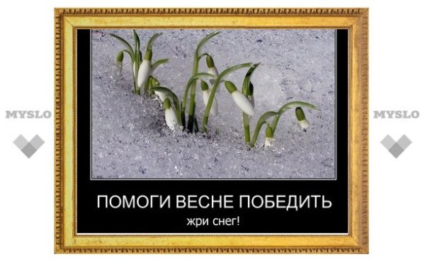 Помогите весне победить зиму жрите снег