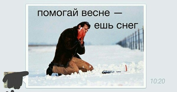 Ешьте снег помогай весне