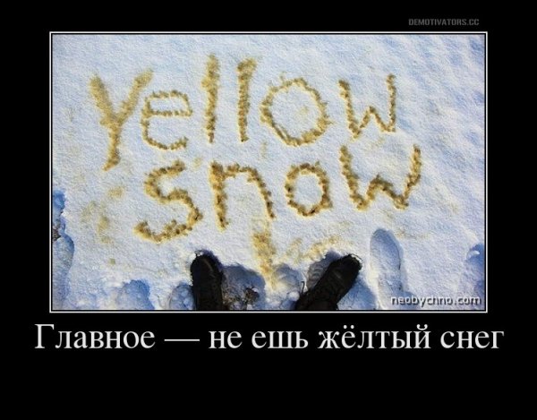 Главное не ешь желтый снег