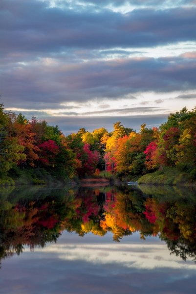 Красота осени