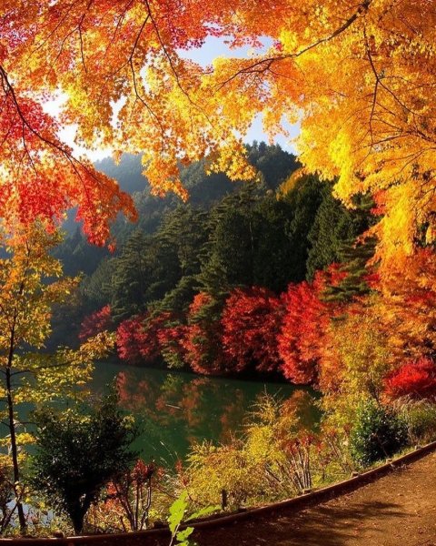 Осенний пейзаж