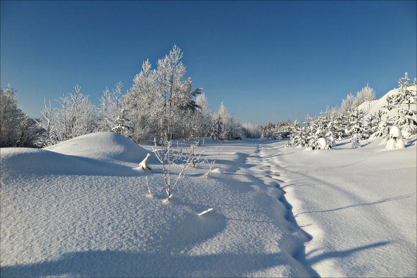 Свежий снег