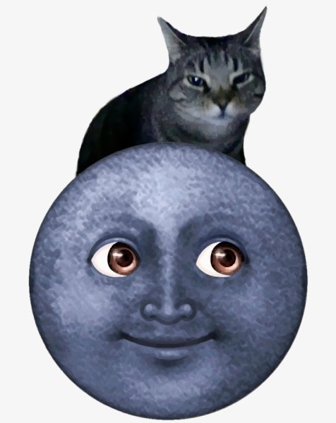 Луна насильница смош