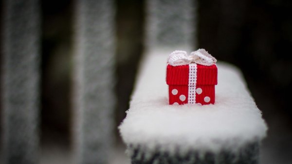 Зимний сюрприз