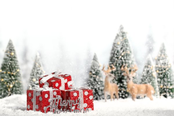 В новогоднем лесу