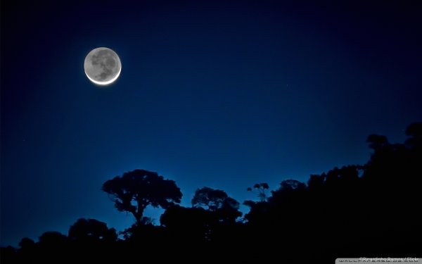 Большая Луна на тёмном небе