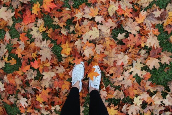 Ноги в осенних листьях