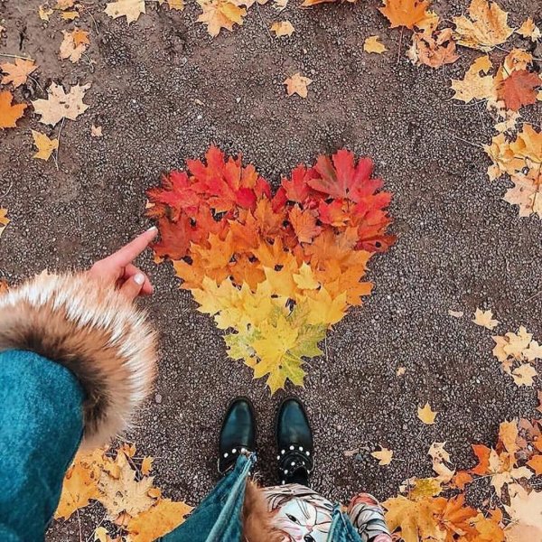 Осенью должны падать листья