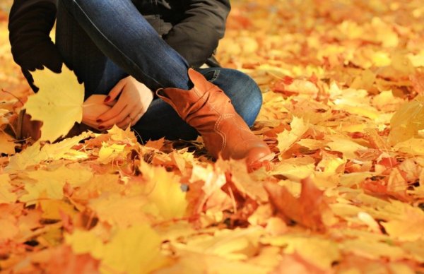 Осенняя листва под ногами