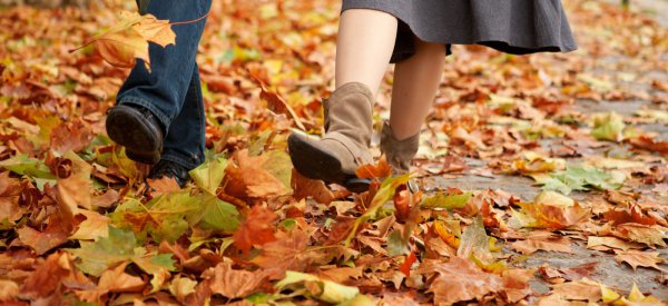Осенние листья под ногами