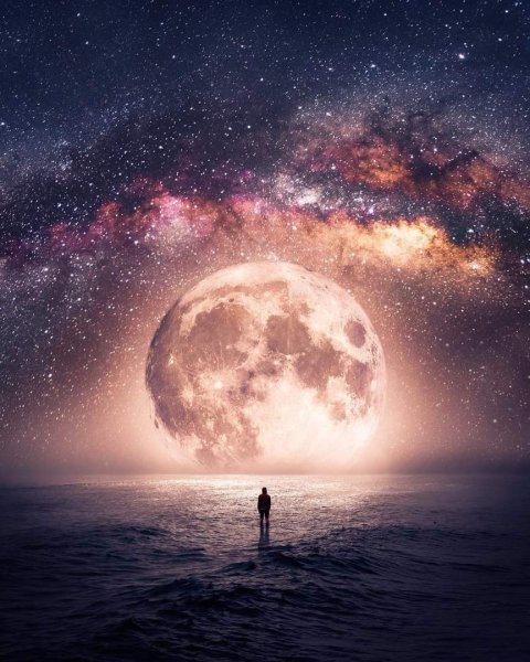 Человек в космосе