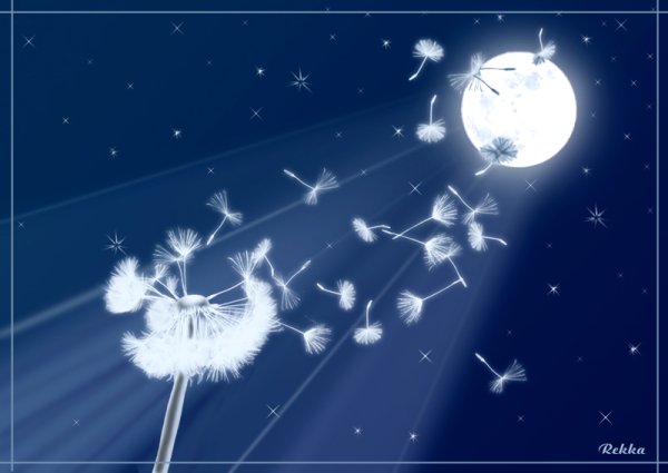 Спокойной ночи одуванчик