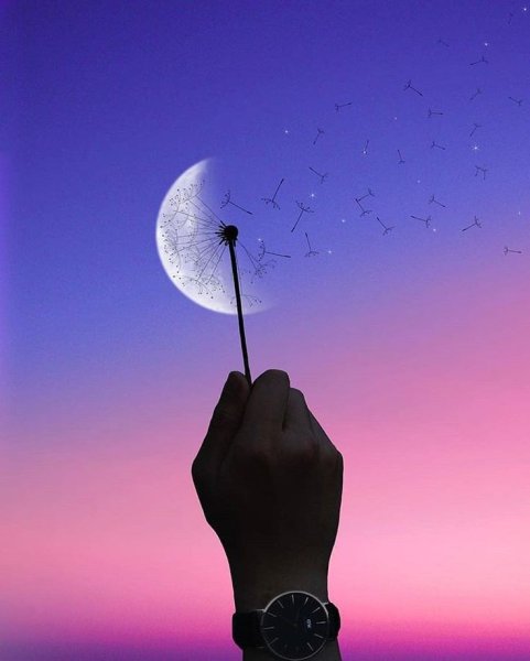 Лунный одуванчик