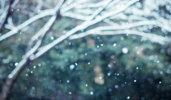 Хлопья снега