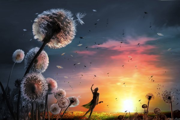 Картины Игоря Зенина