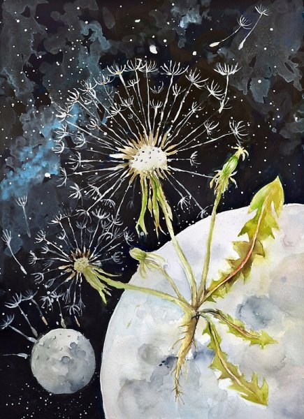 Космические одуванчики