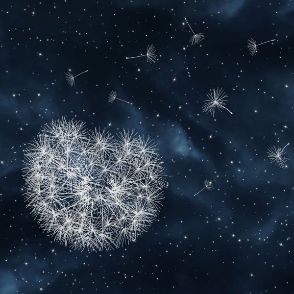 Космические одуванчики