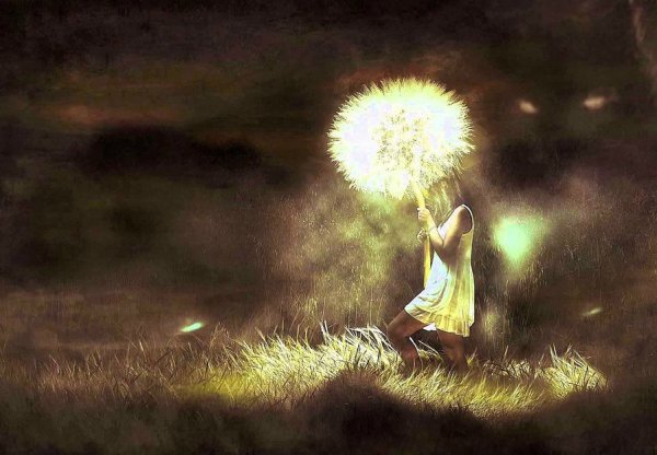 Фонарь освещает путь