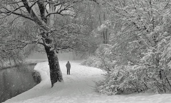 Печальная зима