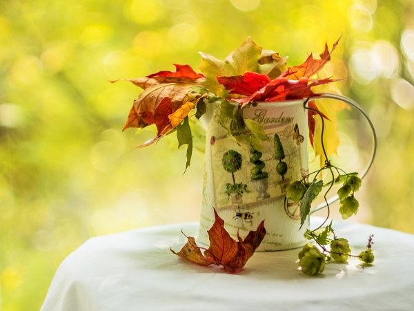 Позитивная осень