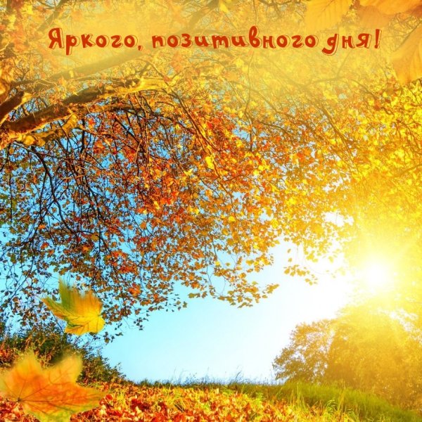 Светлого осеннего дня