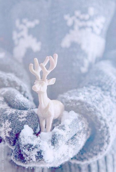 Зимнее Вдохновение