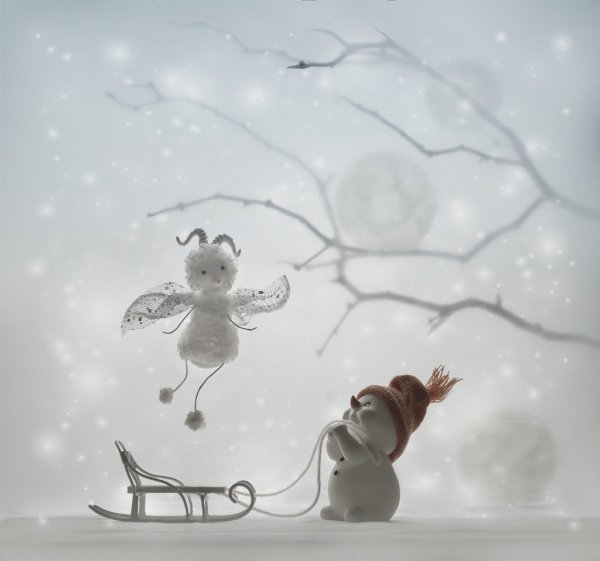 Зимняя нежность