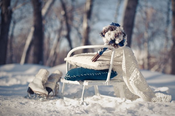 Фотосессия с санками