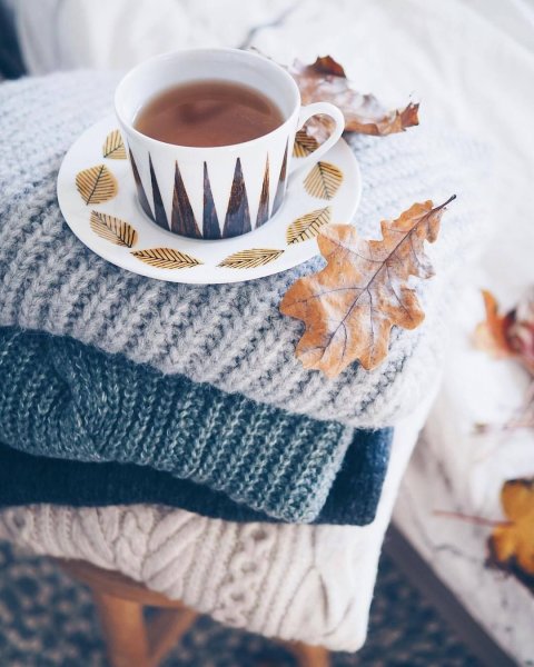 Уютное осеннее утро