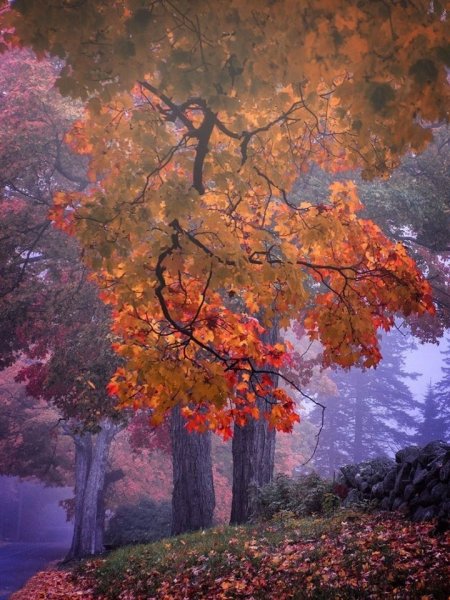 Холодное осеннее утро