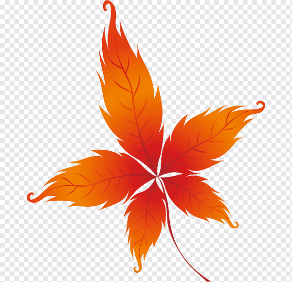 Рисунки осенних листьев