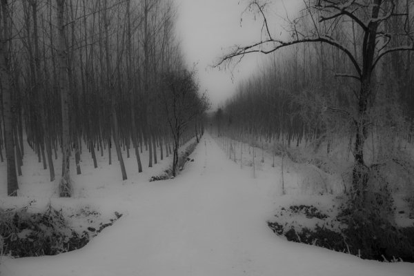 Мрачный пейзаж
