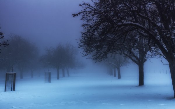 Мрачный зимний пейзаж