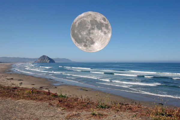 Приливы и отливы Тихого океана