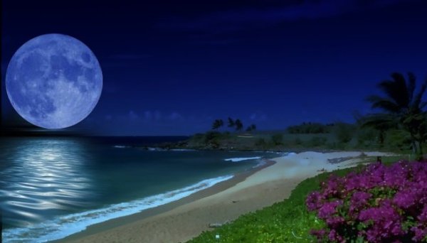 Луна и море прилив