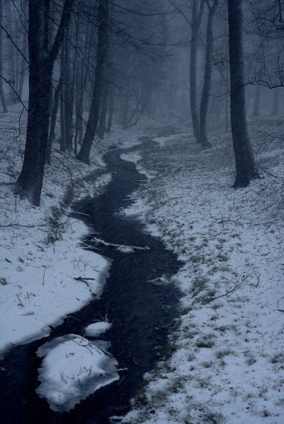 Мрачная зима