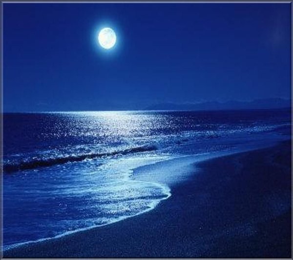 Тихое ночное море